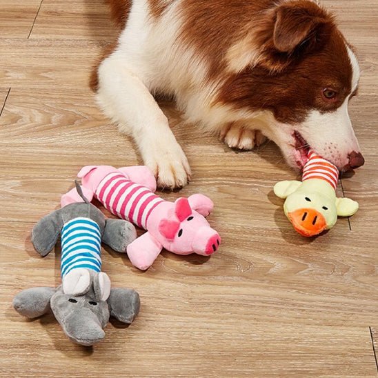 Jouet chien - Combat l'ennui et l'anxiété - Dognpuppytoys