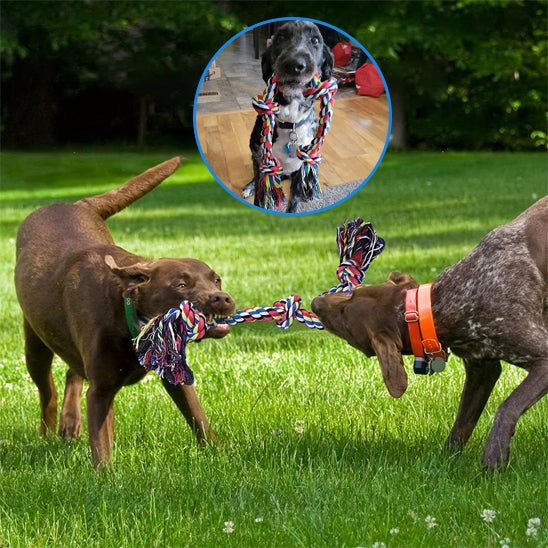 Jouet chien indestructible - DoggyRope™ - Dognpuppytoys