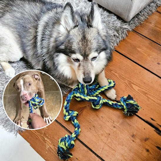 Jouet chien indestructible - DoggyRope™ - Dognpuppytoys