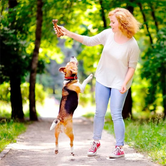 jouet indestructible pour chien - Bonedog™ - Dognpuppytoys
