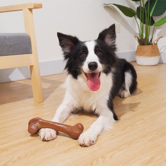 jouet indestructible pour chien - Bonedog™ - Dognpuppytoys
