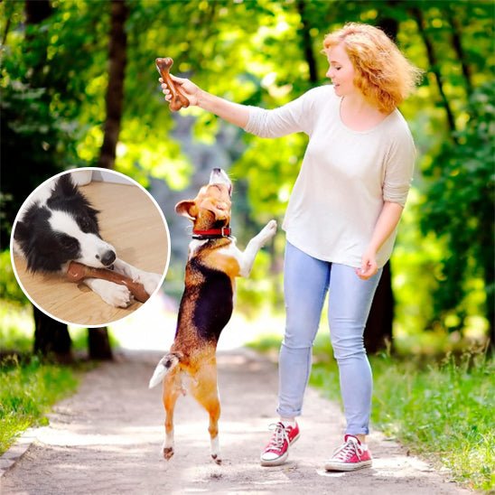 jouet indestructible pour chien - Bonedog™ - Dognpuppytoys