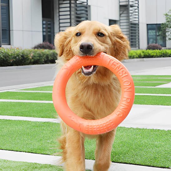 Jouet Indestructible pour Chien - IronChew™ - Fini les Jouets Déchiquetés - Dognpuppytoys