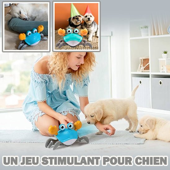 Jouet interactif chien | Mr.Krab™ - Dognpuppytoys