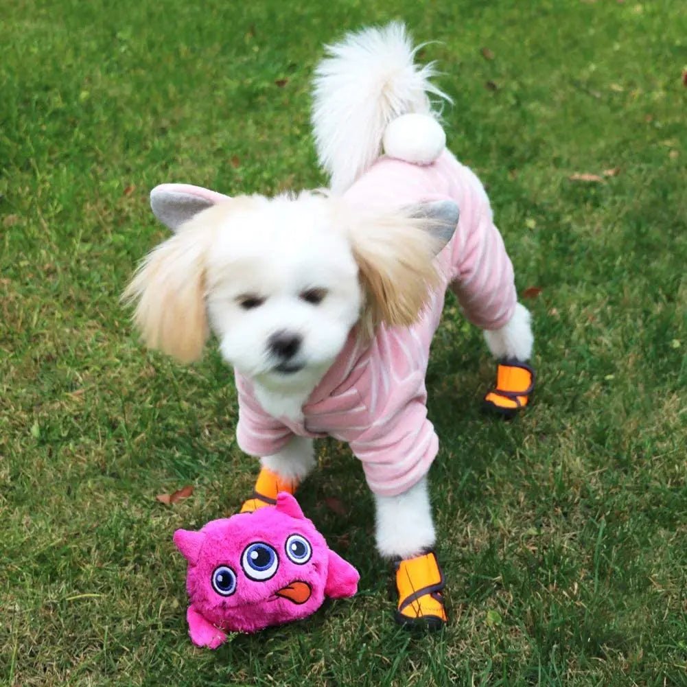Jouet pour chien - Dognpuppytoys