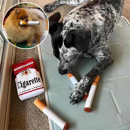 Jouet pour chien | Clope - à - Crocs - Dognpuppytoys