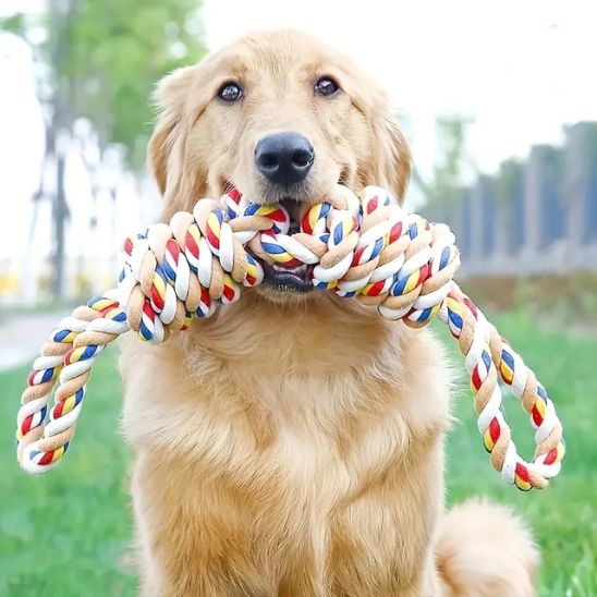 jouet pour chien indestructible IronRope™ - Corde Ultra - Résistante pour Chien - Dognpuppytoys