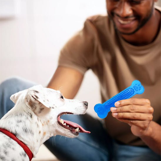 Jouet pour Chien Indestructible - Résistant, Sûr et Anti - Ennui - Dognpuppytoys