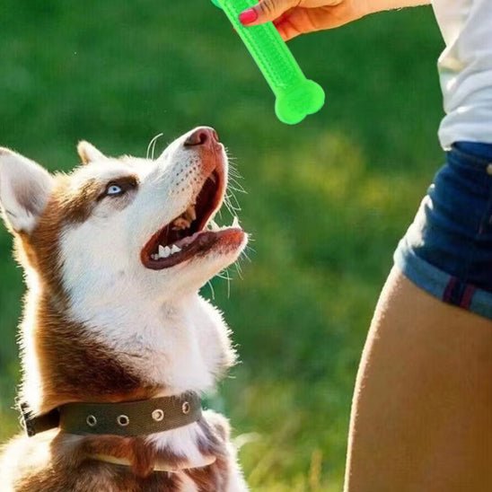 Jouet pour Chien Indestructible - Résistant, Sûr et Anti - Ennui - Dognpuppytoys
