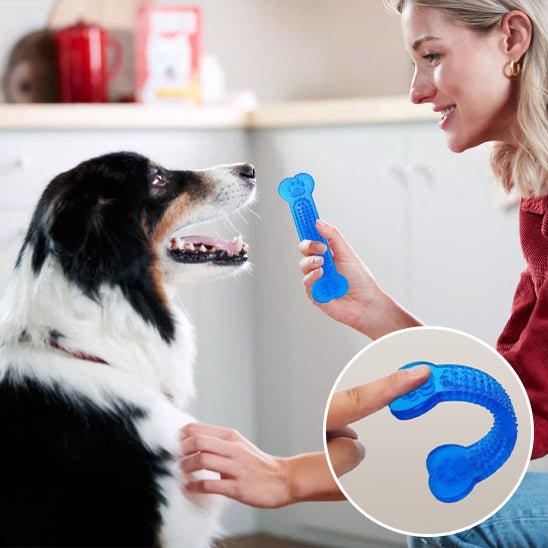 Jouet pour Chien Indestructible - Résistant, Sûr et Anti - Ennui - Dognpuppytoys