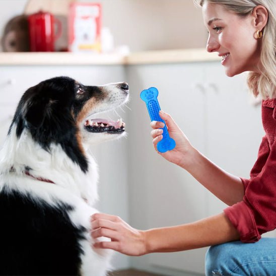 Jouet pour Chien Indestructible - Résistant, Sûr et Anti - Ennui - Dognpuppytoys