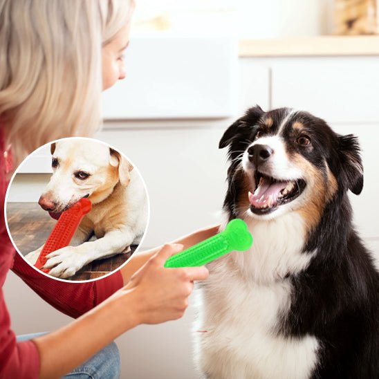 Jouet pour Chien Indestructible - Résistant, Sûr et Anti - Ennui - Dognpuppytoys