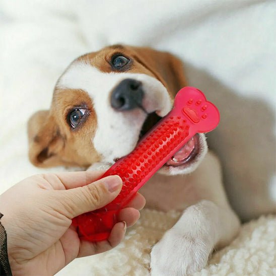 Jouet pour Chien Indestructible - Résistant, Sûr et Anti - Ennui - Dognpuppytoys