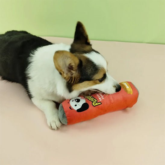 jouet pour chien - qui transforme l’ennui en moments de pur bonheur | Pawgle™ - Dognpuppytoys
