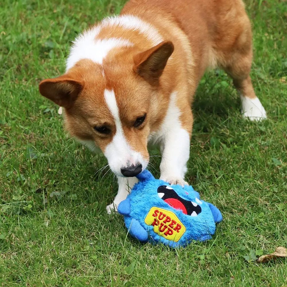 Jouet pour chien - Dognpuppytoys