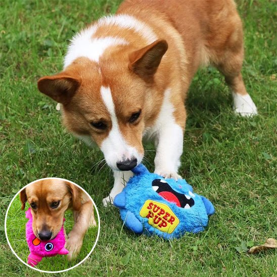 Jouet pour chien - une solution ludique contre l'ennui destructeur - Dognpuppytoys