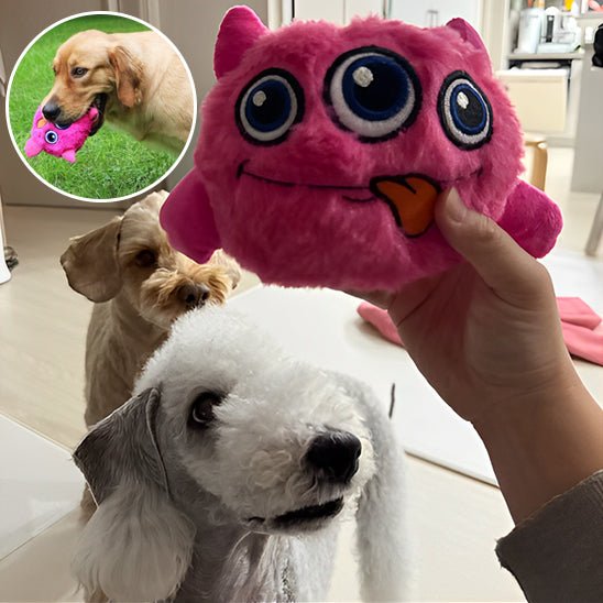 Jouet pour chien - une solution ludique contre l'ennui destructeur - Dognpuppytoys
