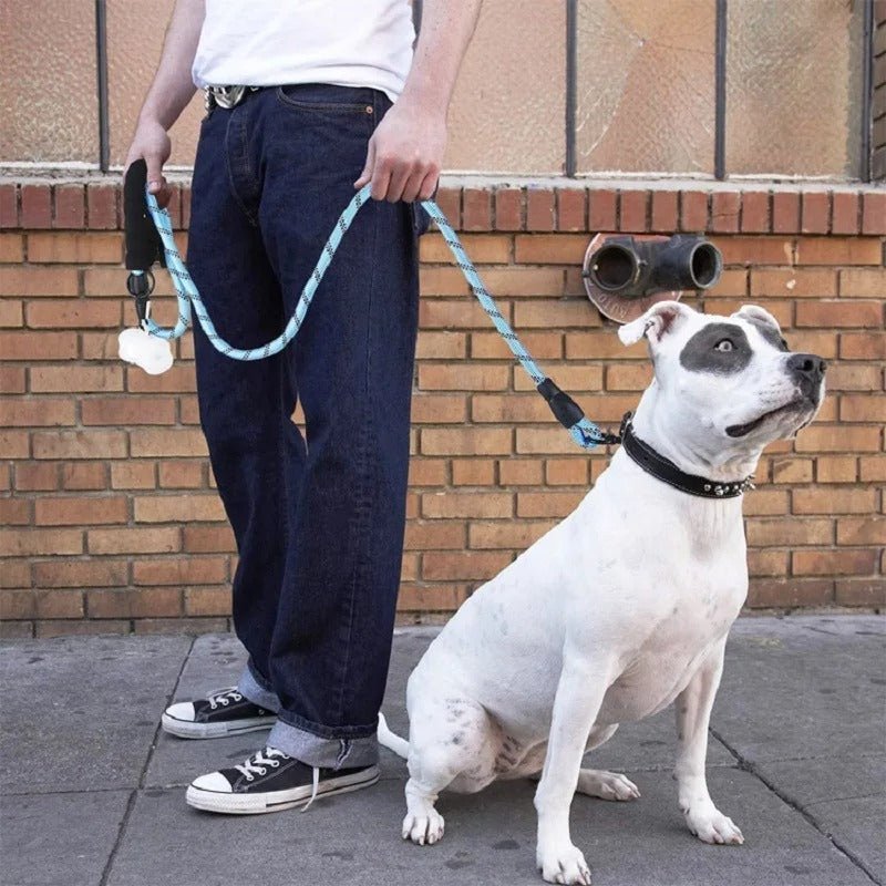 Laisse pour chien | Comfort Leash™ - Dognpuppytoys