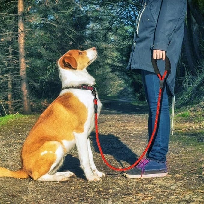 Laisse pour chien | Comfort Leash™ - Dognpuppytoys