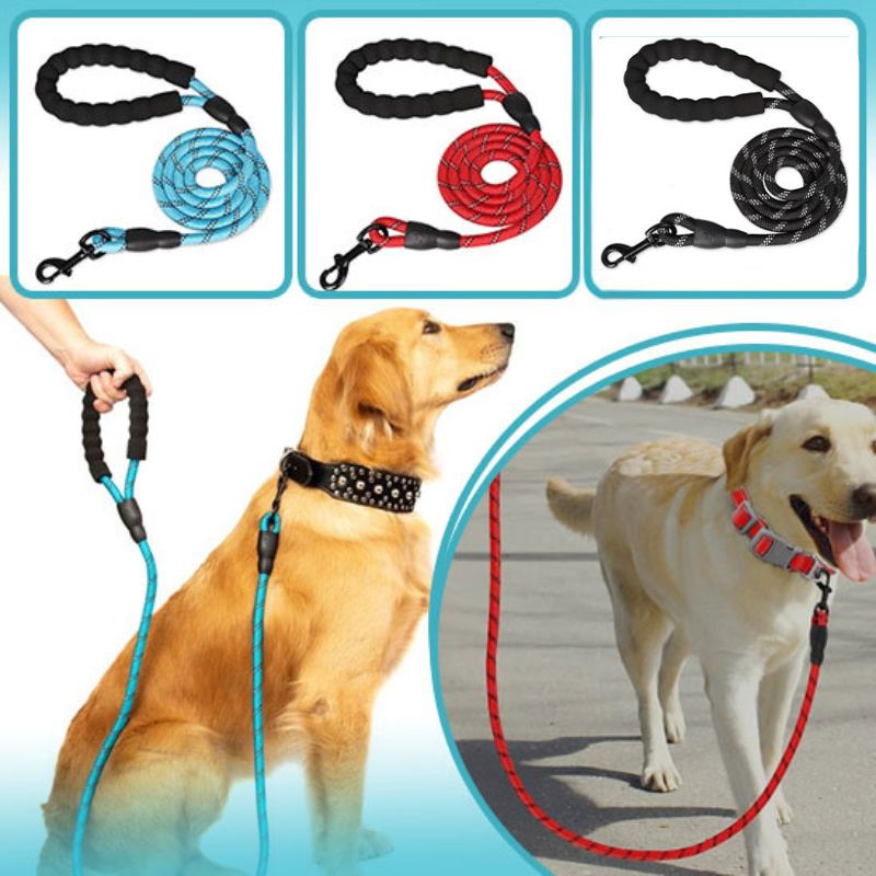 Laisse pour chien | Comfort Leash™ - Dognpuppytoys