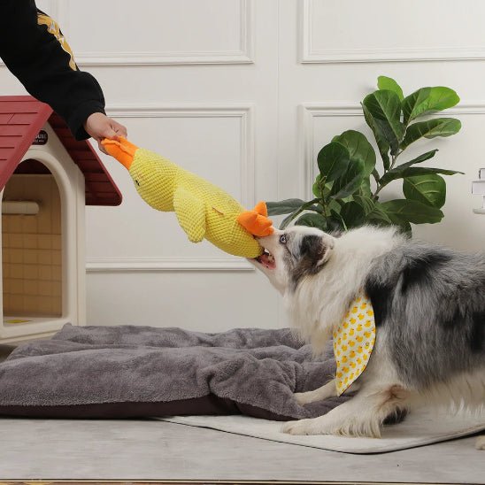 Peluche Chien | Duck - Dognpuppytoys