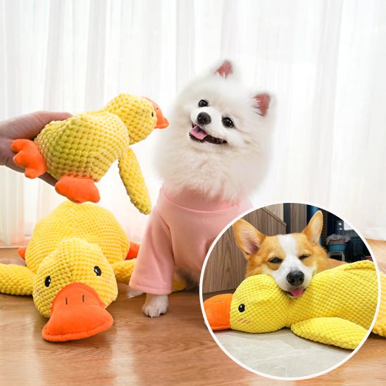 Peluche Chien | Duck - Dognpuppytoys