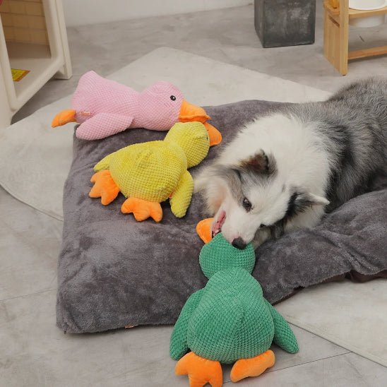 Peluche Chien | Duck - Dognpuppytoys