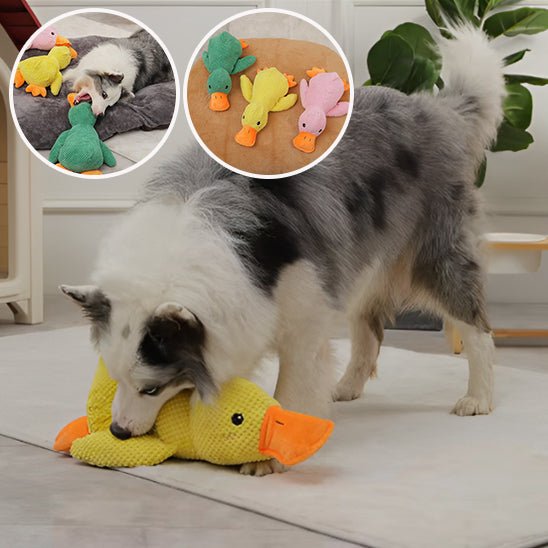 Peluche Chien | Duck - Dognpuppytoys