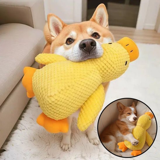 Peluche Chien | Duck - Dognpuppytoys
