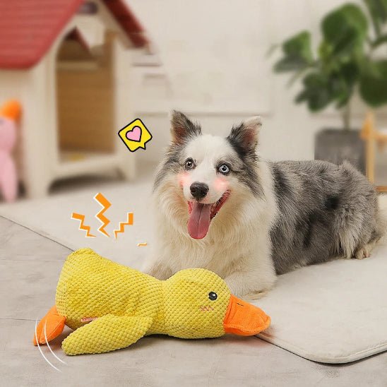Peluche Chien | Duck - Dognpuppytoys