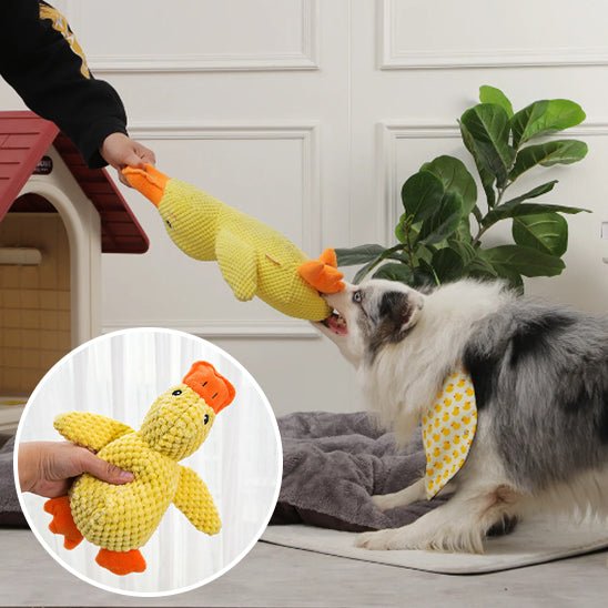 Peluche Chien | Duck - Dognpuppytoys