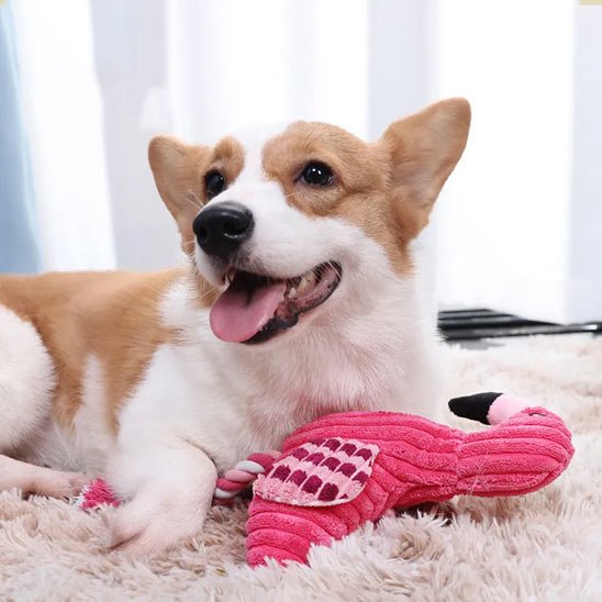 Peluche chien | MingoPupâą - Dognpuppytoys