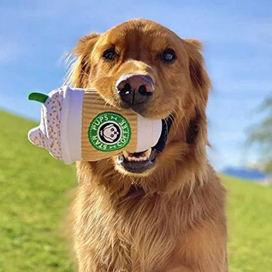 Peluche Chien | StarPaws - Dognpuppytoys