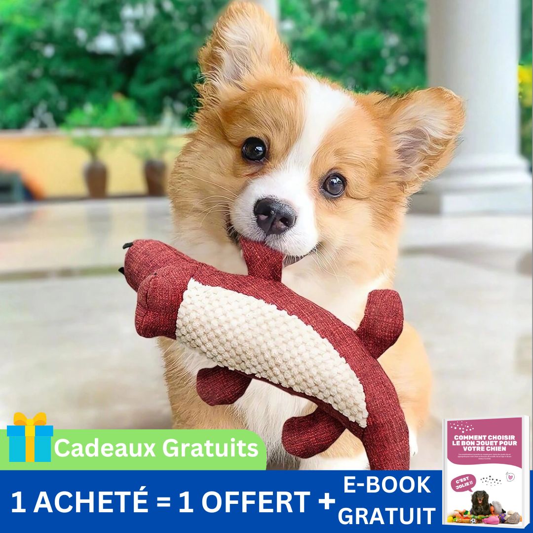 PELUCHE CROCODILE | Croco Doudouâą - Dognpuppytoys