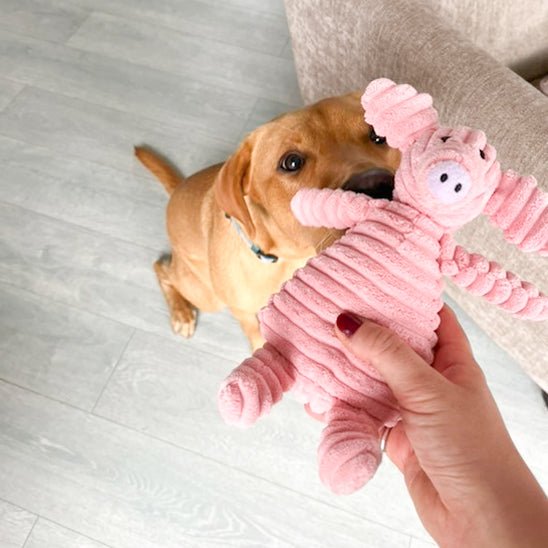 peluche pour chien | FoxyPupâą - Dognpuppytoys