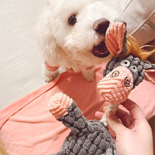 peluche pour chien | FoxyPupâą - Dognpuppytoys