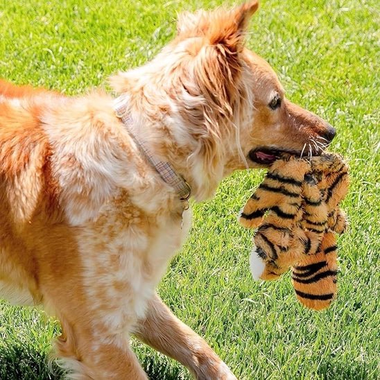 Peluche pour chien FunnyZoo™ – Jouet doux & résistant - Dognpuppytoys