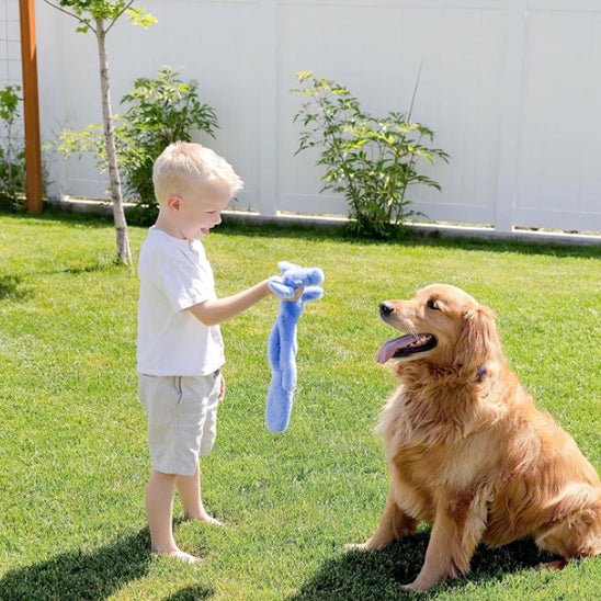 Peluche pour chien FunnyZoo™ – Jouet doux & résistant - Dognpuppytoys
