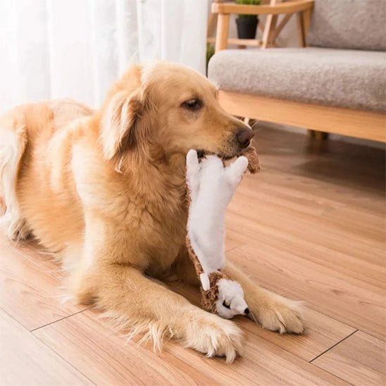Peluche pour chien FunnyZoo™ – Jouet doux & résistant - Dognpuppytoys