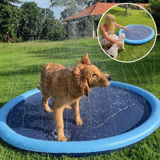 Piscine gonflable pour chien | DogSplash™ - Dognpuppytoys