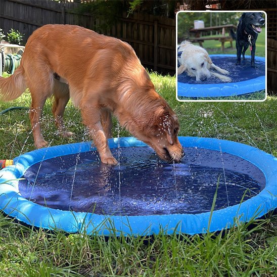 Piscine gonflable pour chien | DogSplash™ - Dognpuppytoys