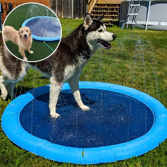 Piscine gonflable pour chien | DogSplash™ - Dognpuppytoys