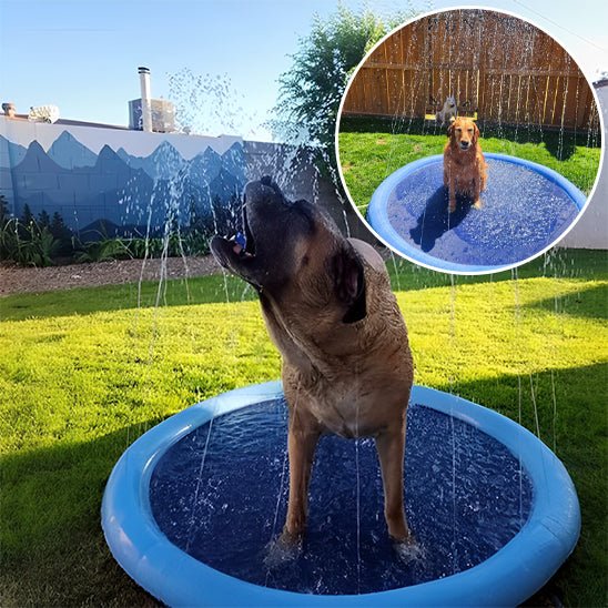 Piscine gonflable pour chien | DogSplash™ - Dognpuppytoys