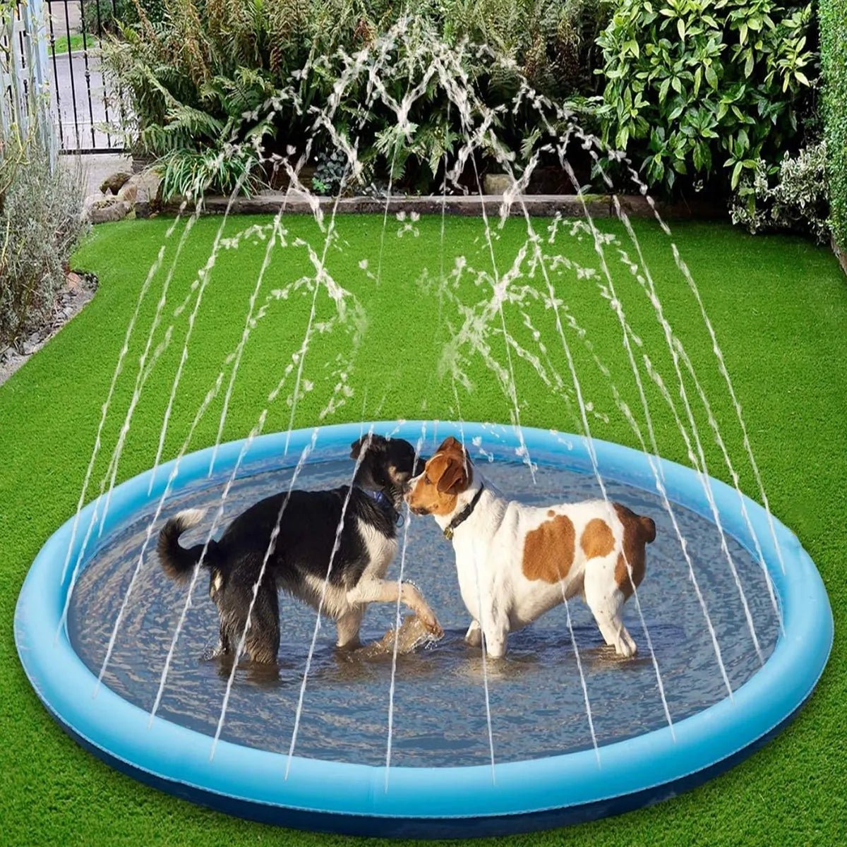 Deux chiens qui jouent dans une piscine pour chien avec jets d’eau sur gazon