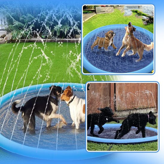 Chiens heureux jouant dans une piscine pour chien avec jets d’eau sous le soleil