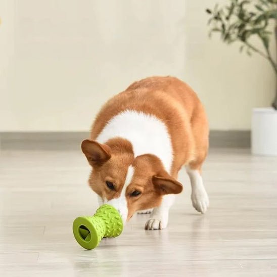 PupPuzzle | Jouet à macher - Dognpuppytoys