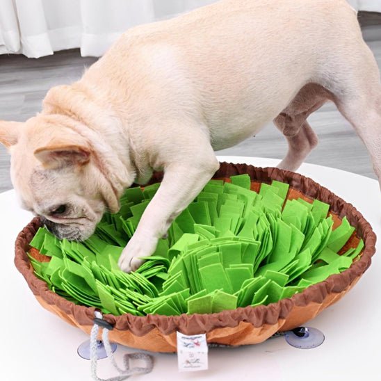 Tapis de fouille - CaniDétect - Dognpuppytoys