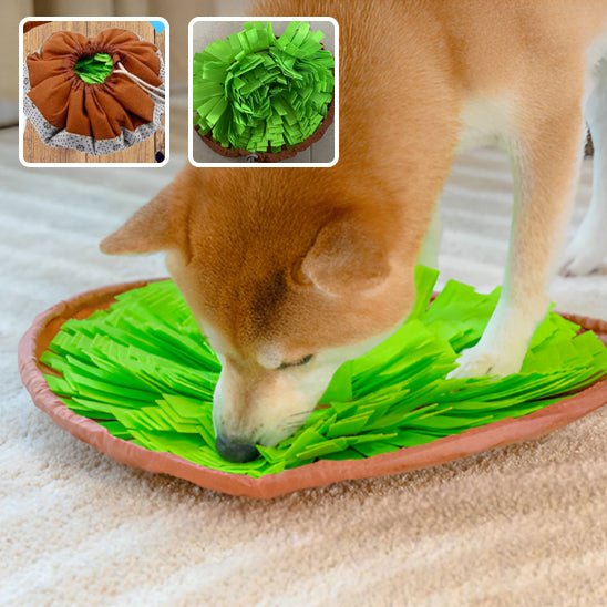 Tapis de fouille - CaniDétect - Dognpuppytoys