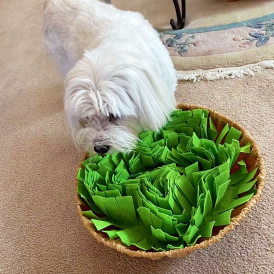 Tapis de fouille - CaniDétect - Dognpuppytoys