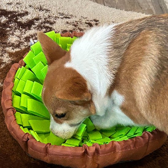 Tapis de fouille - CaniDétect - Dognpuppytoys